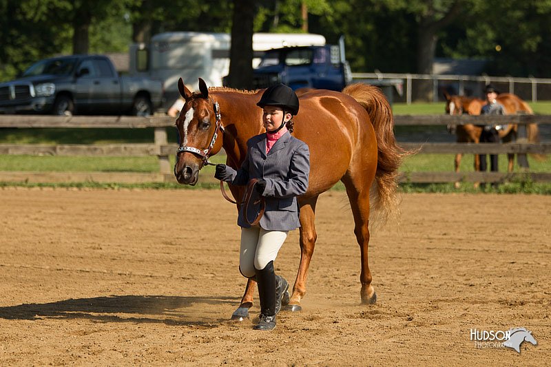 4H-2nd-Show-11_0852.jpg