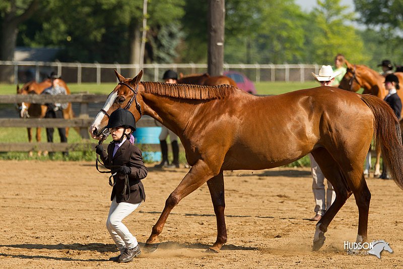 4H-2nd-Show-11_0856.jpg