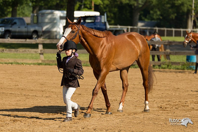 4H-2nd-Show-11_0857.jpg