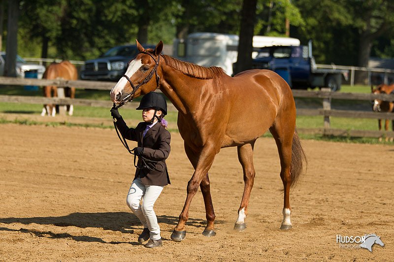 4H-2nd-Show-11_0858.jpg