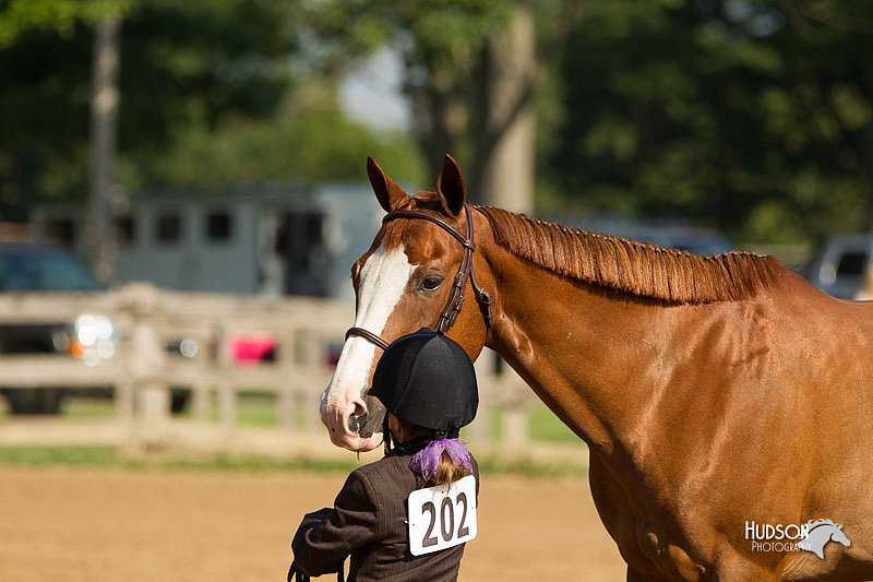 4H-2nd-Show-11_0859.jpg