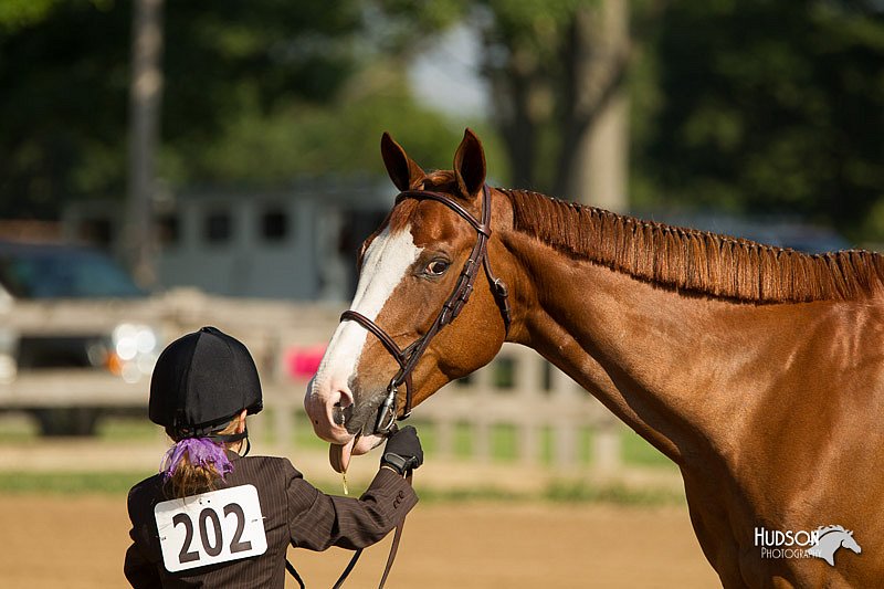 4H-2nd-Show-11_0860.jpg