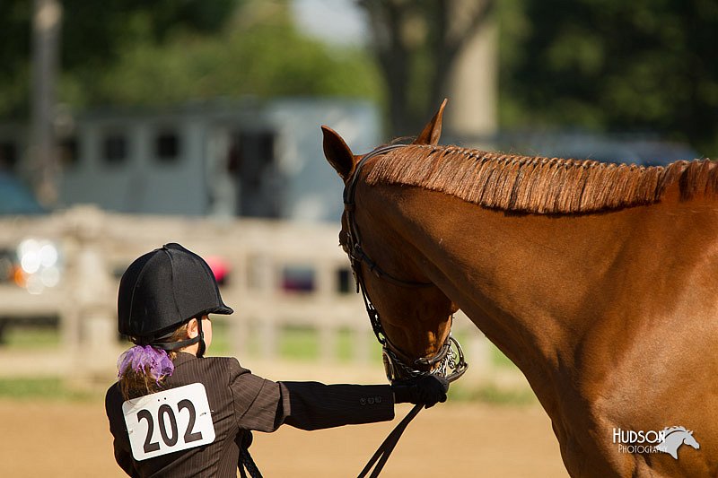 4H-2nd-Show-11_0861.jpg