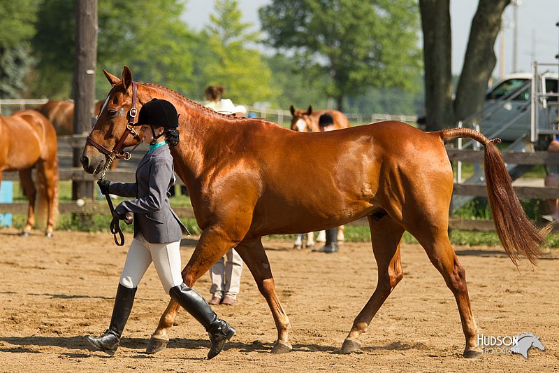 4H-2nd-Show-11_0863.jpg