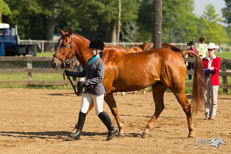 4H-2nd-Show-11_0864.jpg