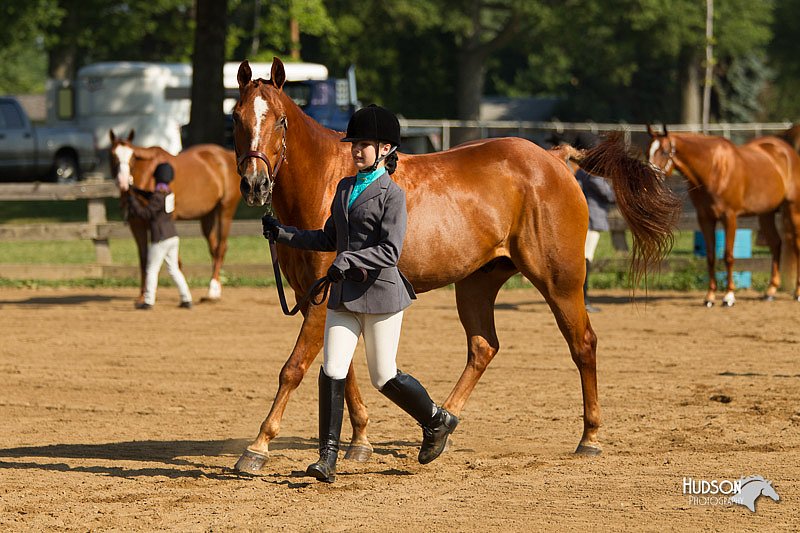 4H-2nd-Show-11_0865.jpg