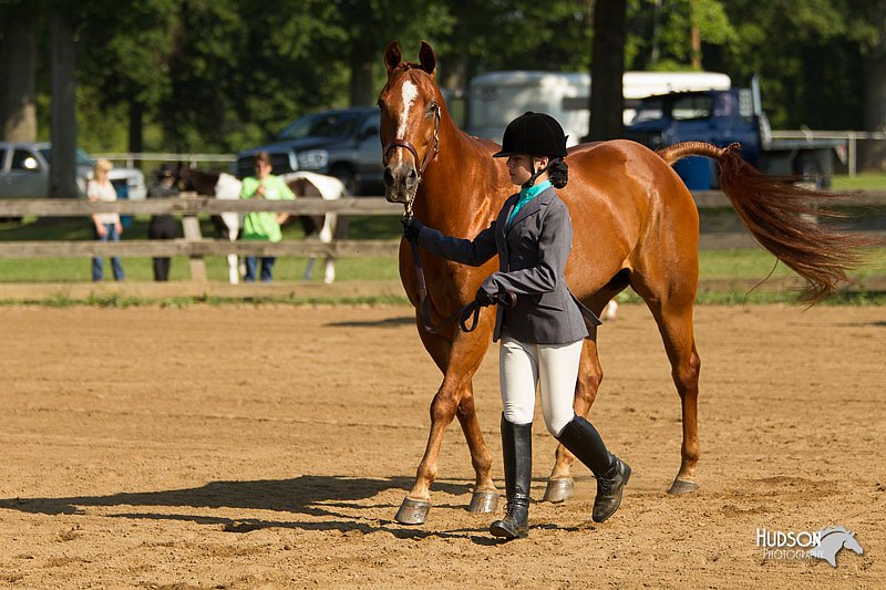 4H-2nd-Show-11_0866.jpg