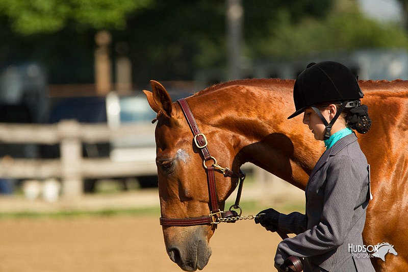 4H-2nd-Show-11_0867.jpg