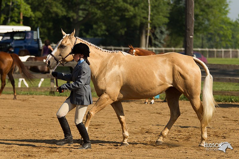 4H-2nd-Show-11_0868.jpg