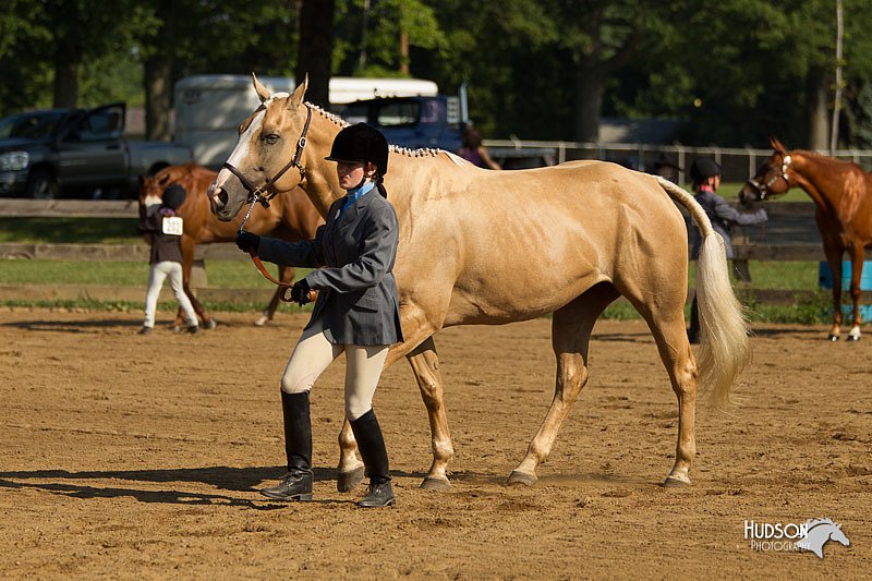 4H-2nd-Show-11_0869.jpg