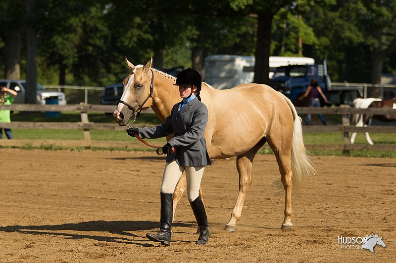 4H-2nd-Show-11_0870.jpg