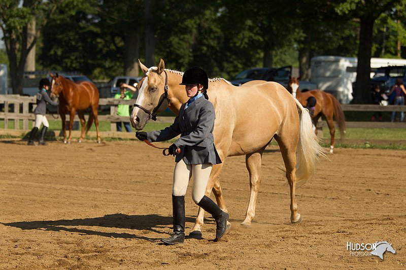 4H-2nd-Show-11_0871.jpg