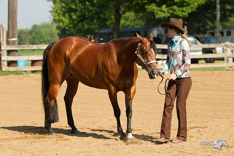 4H-2nd-Show-11_0882.jpg