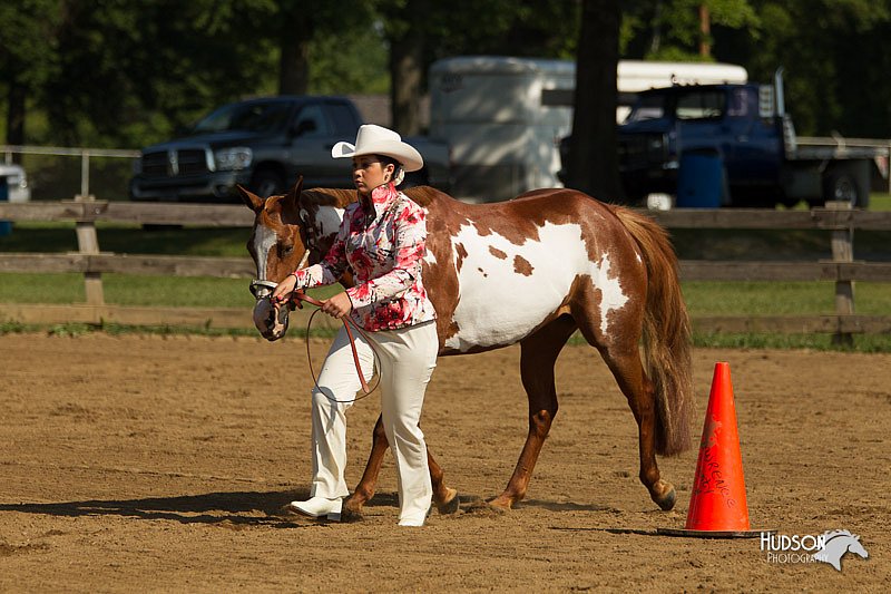 4H-2nd-Show-11_0885.jpg