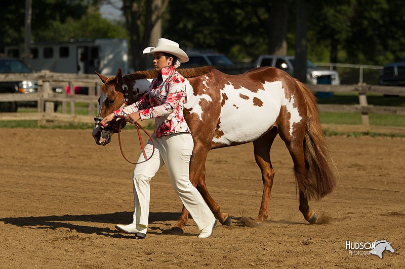 4H-2nd-Show-11_0888.jpg