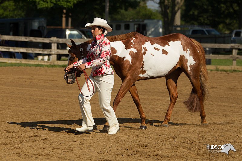 4H-2nd-Show-11_0889.jpg