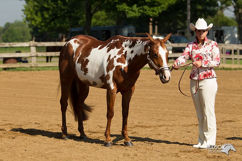 4H-2nd-Show-11_0890.jpg