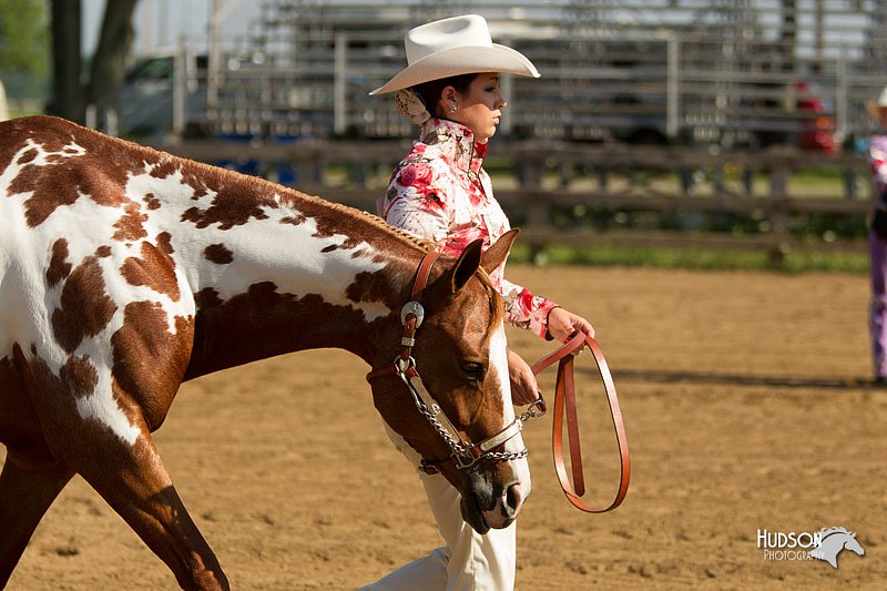 4H-2nd-Show-11_0891.jpg