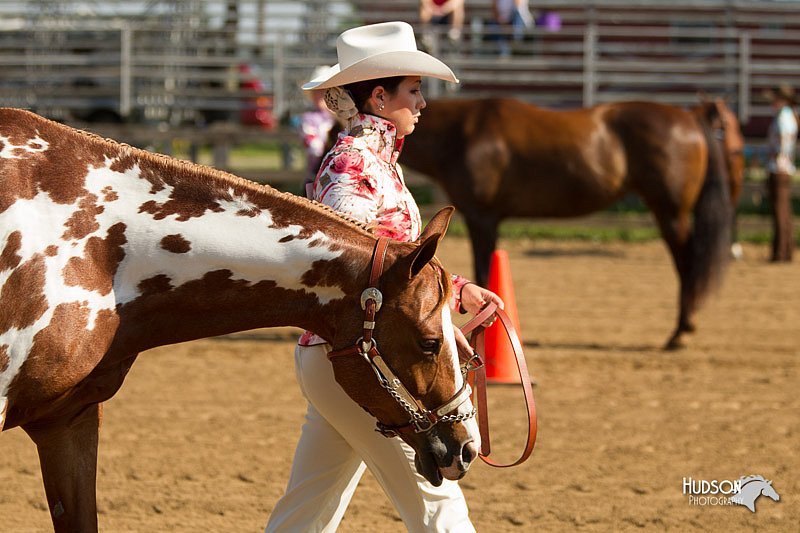 4H-2nd-Show-11_0892.jpg