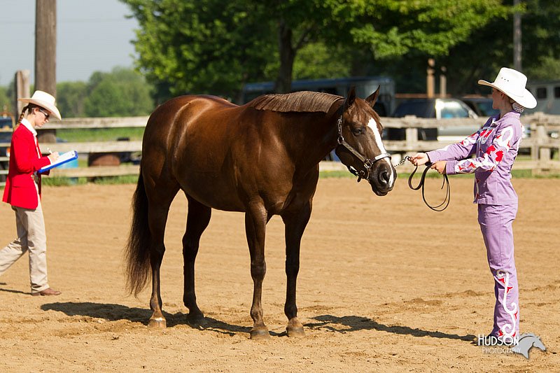 4H-2nd-Show-11_0899.jpg