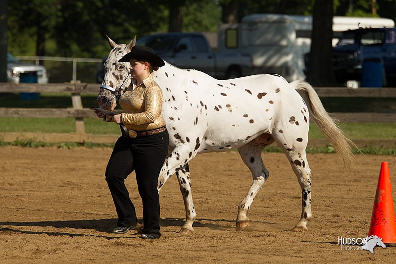 4H-2nd-Show-11_0901.jpg