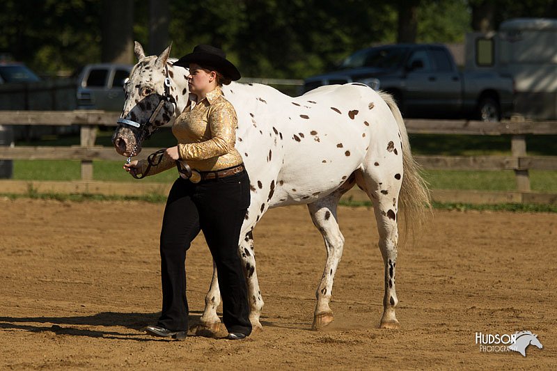 4H-2nd-Show-11_0902.jpg