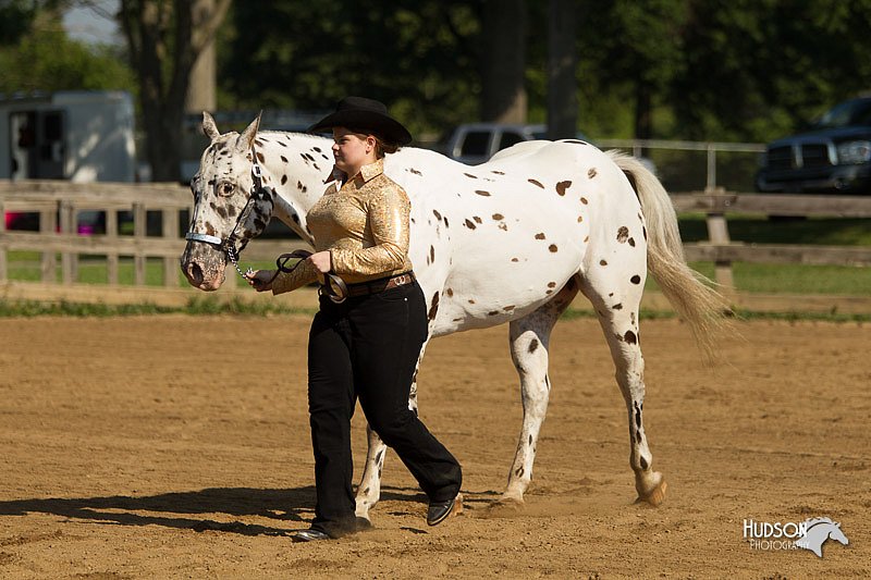 4H-2nd-Show-11_0903.jpg