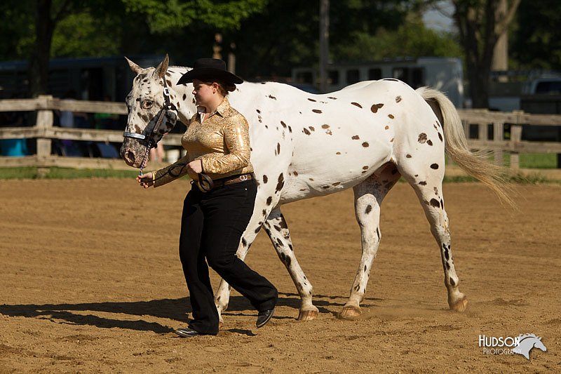 4H-2nd-Show-11_0905.jpg