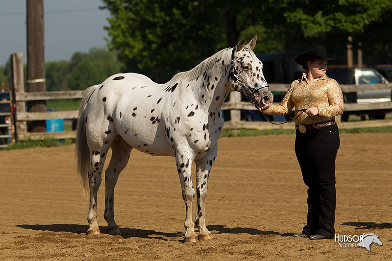 4H-2nd-Show-11_0907.jpg