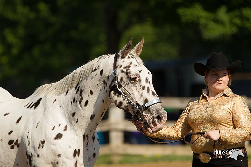 4H-2nd-Show-11_0908.jpg