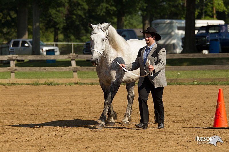 4H-2nd-Show-11_0911.jpg