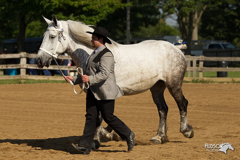 4H-2nd-Show-11_0912.jpg