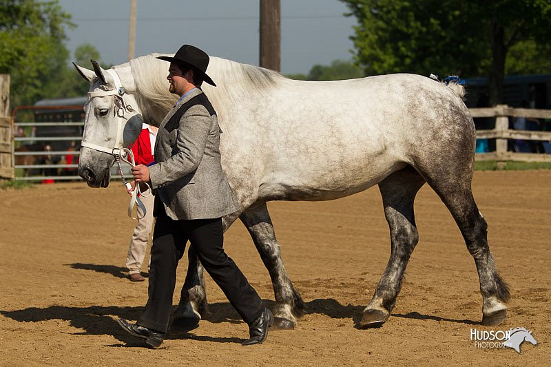 4H-2nd-Show-11_0913.jpg