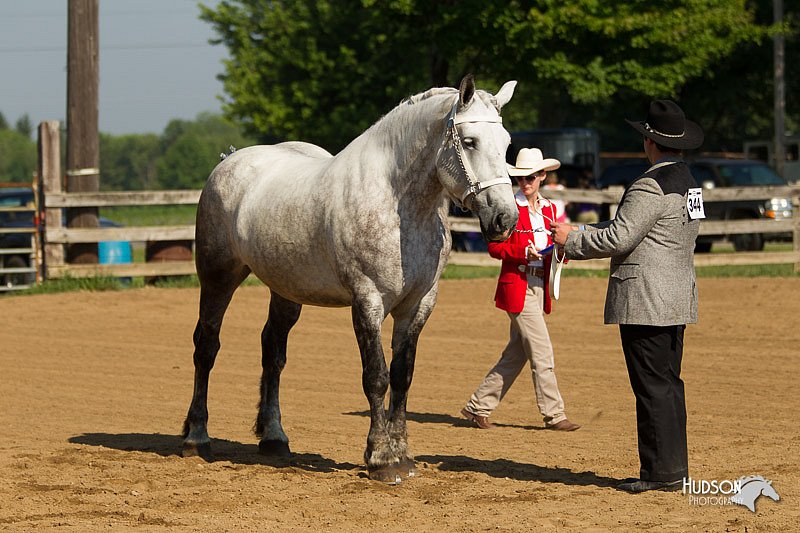 4H-2nd-Show-11_0915.jpg