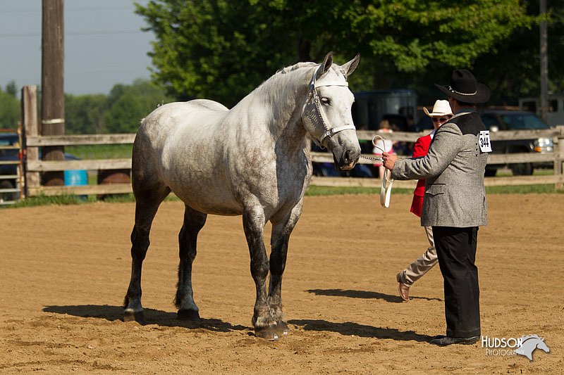 4H-2nd-Show-11_0916.jpg