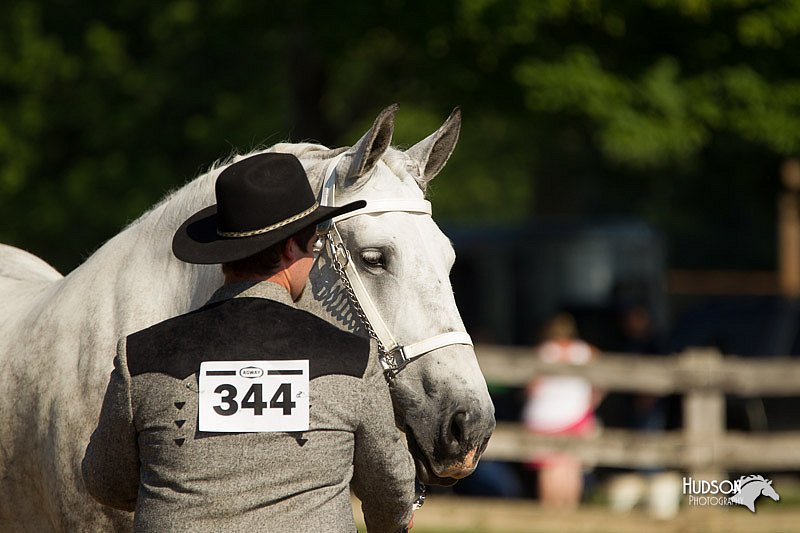 4H-2nd-Show-11_0917.jpg