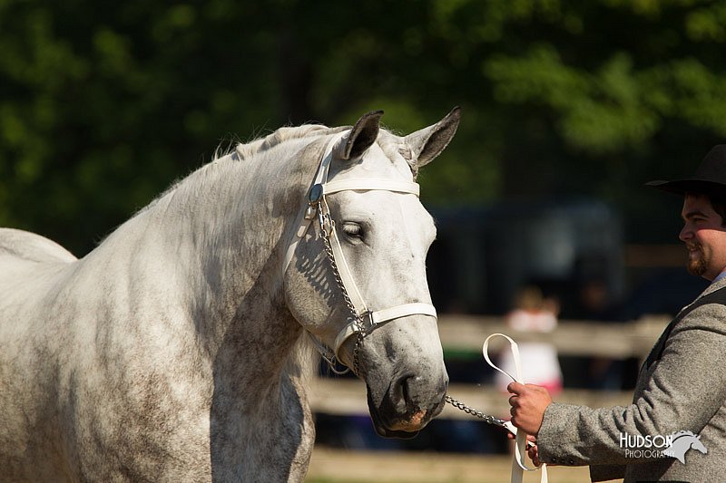 4H-2nd-Show-11_0918.jpg