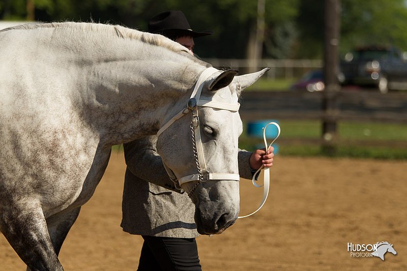 4H-2nd-Show-11_0921.jpg