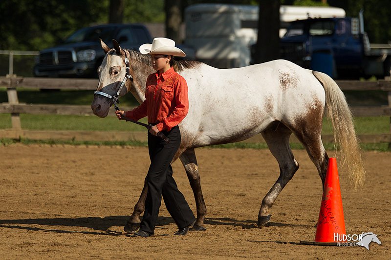 4H-2nd-Show-11_0922.jpg