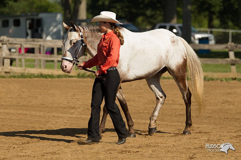 4H-2nd-Show-11_0924.jpg