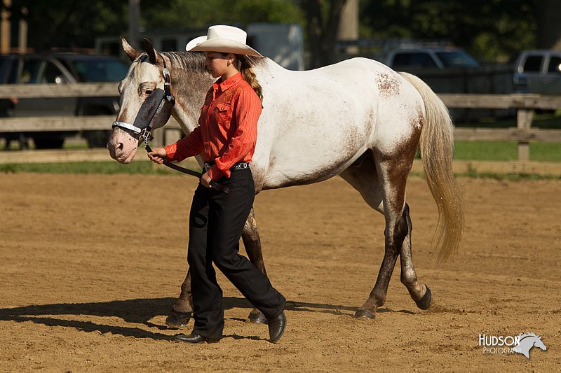 4H-2nd-Show-11_0925.jpg