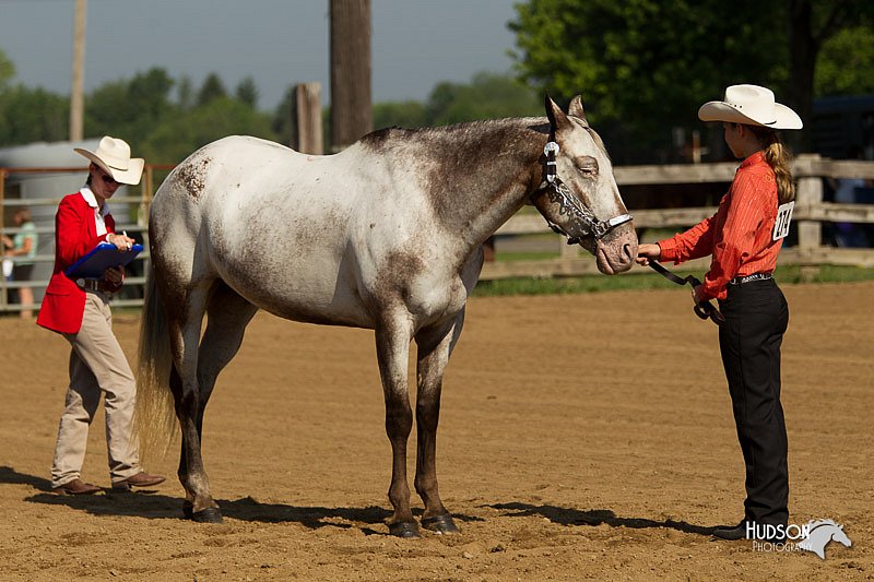 4H-2nd-Show-11_0927.jpg