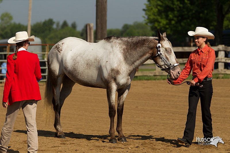 4H-2nd-Show-11_0928.jpg