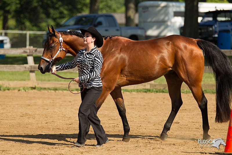 4H-2nd-Show-11_0933.jpg