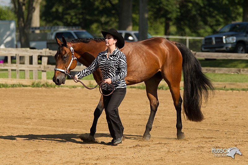 4H-2nd-Show-11_0934.jpg