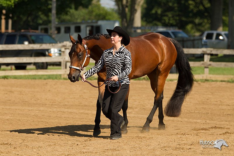 4H-2nd-Show-11_0935.jpg