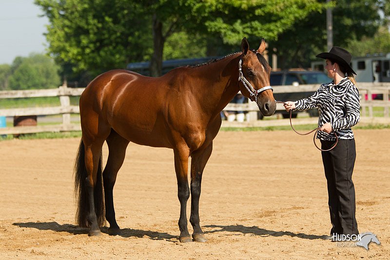 4H-2nd-Show-11_0937.jpg