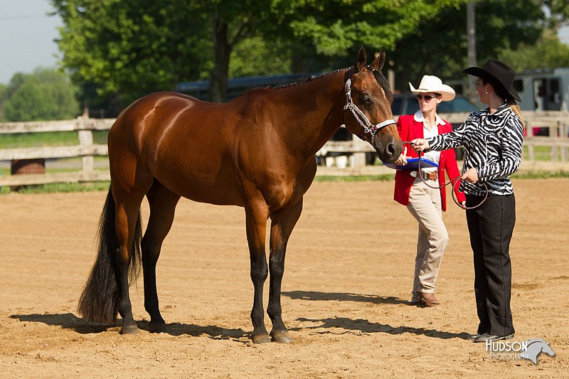 4H-2nd-Show-11_0938.jpg