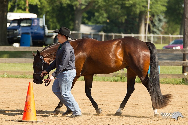 4H-2nd-Show-11_0942.jpg