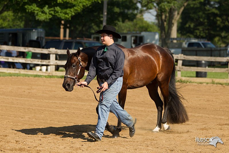 4H-2nd-Show-11_0946.jpg